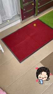ALX Malaysia 120x80cm Non-Slip Commercial Floor Mat Entrance Reception Dirt Trapper Carpet Catcher Runner Hallway Entry Door