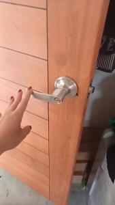 LockMan Stainless Steel Door Lever Lock Keyed Entry Privacy Door Knob Heavy Duty Door Handle Lock for Home