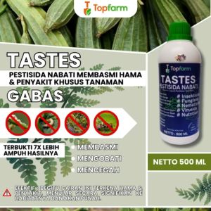 Solusi Pestisida Alami untuk Gambas & Oyong