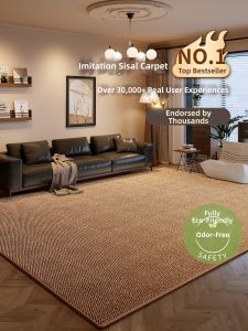 BOZK | Easy-care Imitation Sisal Carpet Household