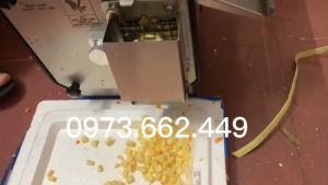 Máy thái hoa quả hạt lựu thái các loại củ thành hạt lựu vuông vắn đều tăm tắp