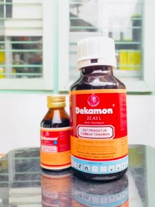 Zat Pengatur Tumbuh DEKAMON 22,43 L dari Dewi Kayangan