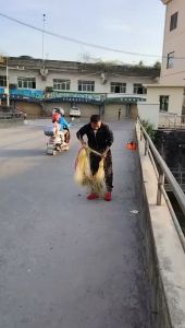 Rangkaian Ikan Shrimp Raja Shrimp Korean traditional hand thrown net chain casting net easy throwing net small mesh fishing net iron chain spinning net fishing net
