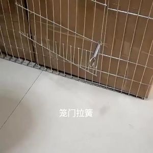 สปริงเกี่ยวกรงนก 5ตัว/แพ็ค สปริงสแตนเลส สปริงล็อคประตูกรง สปริงยาว สปริงสั้น อเนกประสงค์ คุณภาพสูง