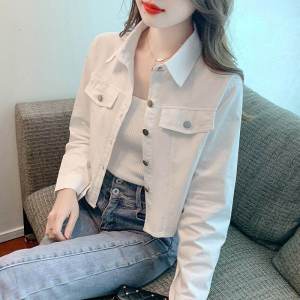 Fall 2024 Casual Short Shirt Versatile Simple Design Small Audience Commute Style Long Sleeve Printed Workwear Jacket Top