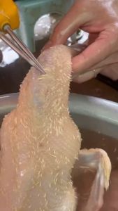 Máy nhổ lông vịt cầm tay QUANG LONG mẫu mới nhất năm 2023 bản trong suốt - Máy chạy tự động vừa chạy điện + pin. 1 cục pin dùng được 4 tiếng_KS004 Máy Nhổ Lông Vịt Bảo Hành Điện Tử 3 Tháng - Lazada