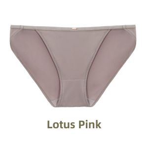 Gainreel | New Comfortable Lace Panties