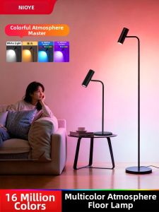 NIOYE | High-End Full Color Designer Floor Lamp
