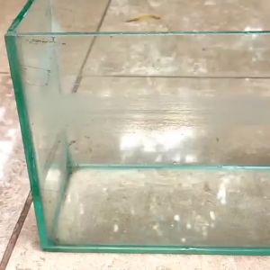Cairan Pembersih Kerak Kaca Waterspot Aquarium dan Gelas Kaca Super Ampuh Kemasal 250ml