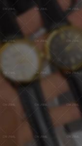 SUBMARINE J184 L LADIES LEATHER BAND QUARTZ WATCH (1 YEAR OFFICIAL WARRANTY )