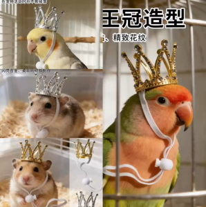 Vương miện Thỏ Chuột Lang Hamster Chim Cảnh Vẹt Da Hổ Vẹt Phượng Hoàng Chim Vẹt Phụ Kiện Mã 3 Cho Thú cưng nhỏ