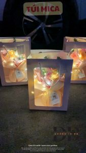 Túi Giấy Trắng/Hồng Có Cửa Sổ Trong Suốt Đựng Hoa Gấu Bông Quà Tặng - Chất Liệu Dày Dặn Sang Trọng Đẹp