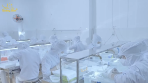 Yến sào Hoàng Kim - Hoàng Kim Ngự Phẩm (100g Tinh Chế Sợi Định Hình 300g Đường Phèn và 20g Nấm Đông Trùng Hạ Thảo) Quà Biếu Tặng Doanh Nghiệp & Đối Tác Cao Cấp