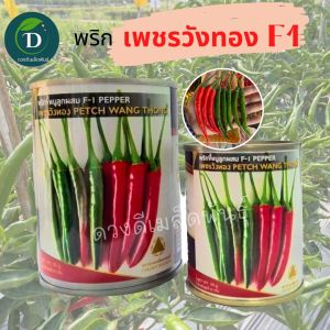 เมล็ดพริกเพชรวังทอง ขนาด 20กรัม และ 50 กรัม พริกขี้หนูพริกเมล็ดพันธุ์พริกเพชรวังทอง