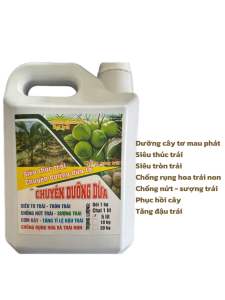 Chuyên dưỡng dừa can 5 lít giúp dưỡng dừa tơ to trái tròn trái chống nứt trái-rụng hoa và trái non phục hồi cây sau khi thu hoạch