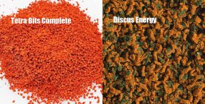 Tetrabits Tetra Bits Complete 30 gr Original Makanan Favorit Ikan Discus COD Diskus Pakan Burger