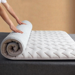 Soft Thick Mat Mattress