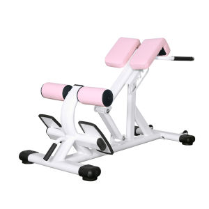 XINGYUE | Commercial Home Gym Lumbar Abdominal Roman Chair