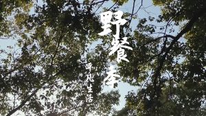 เสื่อชายหาด เสื่อผ้าใบ พกพาง่าย เสื่อผ้าพับได้ กันน้ำและป้องกันความชื้น