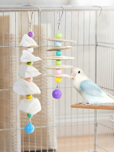 VOA | De-salted Calcium-supplement Parrot Toy