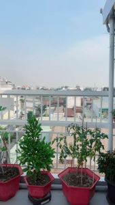 Găng tay thể thao đi xe đạp ngắn nữa ngón nam nữ Men Z ZERO- Z2 [RẺ VÔ ĐỊCH]