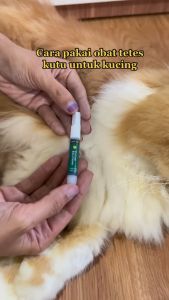 Clever Solutions - Paket Bundling Tetes Kutu