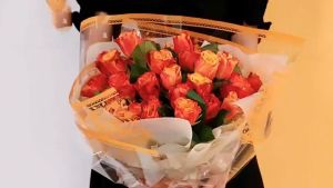 Kertas Bunga Cellophane Transparan Motif Warna Flower Wrapping Paper KB6129