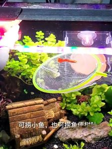 ที่ตักปลา ตัดปลาตัวเล็ก ปลากัด ปลาหางนกยูง สวิงตักปลาทรงกลม กระชอนตัดปลา ตัดปลา 31 33 38cm