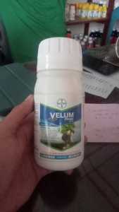 Pestisida Velum Prime 400 SC 250 Ml/100 Ml