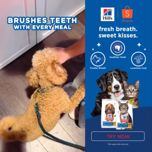 Hills Science Diet Feline Adult Oral Care 1.58kg