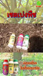 เพิ่มอัตราการแบ่งเซลล์พืช การเจริญเติบโตสมบูรณ์ต่อเนื่อง ต้านทานโรคและแมลง ชุดเบ่งพืช 1 ชุด สารธรรมชาติกระตุ้นการแบ่งเซลล์ ต้นพืชแข็งแรง พร้อมจัดส่ง