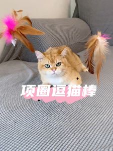 Popular Feather Cat Toy Long Pole Interactive Pet Supplies for Kittens Wearable Feather Collar Fatigue-consuming Smart Design