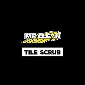 MR CLEAN Tile Scrub BR 11