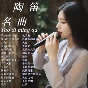 Healing Pure Music Flute USB Flash Drive Light Music Health Care Musical Instrument for Tea Room Car Audio Accessories