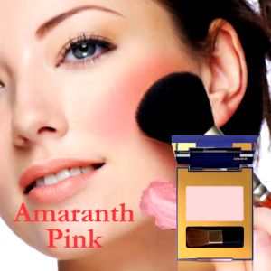 Inez Color Contour Plus Blusher (New Case) - Blush On