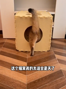 Cat House Box Cats Nest Dice Shaped Cats Nest Foldable Cat Tunnel Enclosed Bed Multifunctional Cat Toy Rumah Kucing貓抓板 猫屋
