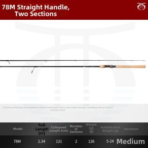 Daiwa | Trout Salmon Fishing Rod for Spinning