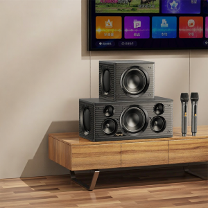 kinyo | High Volume Bass Karaoke System with Microphone