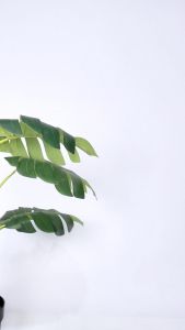 Bavito 37-46 Rakata Fullblack - Sepatu Sneakers Casual