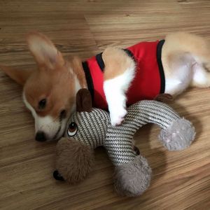 ของเล่นสุนัขพูดเสียง ขนแกะทนต่อย ของเล่นสำหรับสุนัขขนาดใหญ่ ของเล่นสำหรับเล่นกับสุนัข ของเล่นสำหรับสุนัขที่มีเสียง