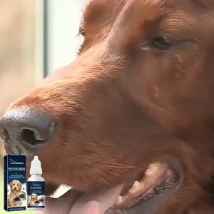 Pet Eye Drops 10ml for Dogs & Cats Eye Care Solution Gentle Daily Pet Eye Cleaning Drops