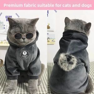 Petone dOrage | Warm Pet Clothing