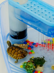 NOMOYPET 1pc Turtle Feeding Box Made Of PP Material Equipped With Climbing Ladder Sunbathing Terrace And Food Bowl
