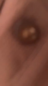 Sakura Glory - TARA TOP RIB KNIT PREMIUM UKURAN ALLSIZE / ATASAN / BLOUSE / WANITA / DEWASA / DISTRO / IMPORT / COD / DISKON / GRATIS ONGKIR / MURAH