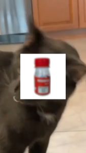 Obat Flu dan Batuk Kucing dan Anjing Royal Care Hewan Peliharaan 10 ML