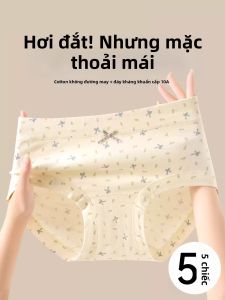 MANSINING | Antibacterial Long Crotch Seamless No Wedgie Plus Size Cotton Triangle Pants