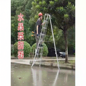 Garden Use Aluminum Triangular Ladder