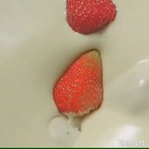 Strawberry Milk Chocolate Truffle 60g - สตรอเบอรี่เคลือบช็อกโกแลต นม ไดฟูกุุ สตอเบอรี รสนม Milk Chocolate White Chocolate ชอคโกแลตนมเคลือบสตรอเบอรี