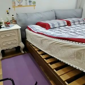 Bed Side Safety Handle Support for Elderly Bed Assist Bar 2 Models