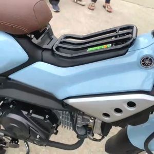 Baga đầu đèn yamaha pg1 baga trước yamaha pg1